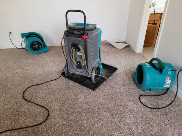 Best Ceiling water damage repair  in Hamlet, NC