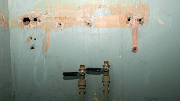 Best Mold removal after water damage  in Hamlet, NC