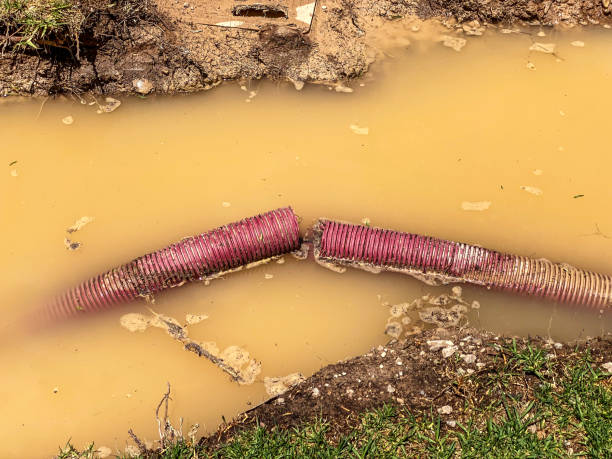 Professional Water damage restoration in Hamlet, NC