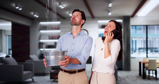 Best Water damage cleanup near me  in Hamlet, NC